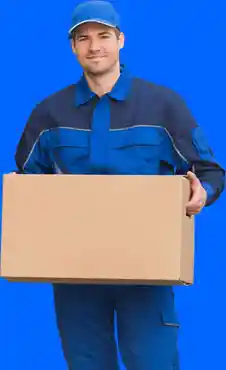 Removals and van services in South West London