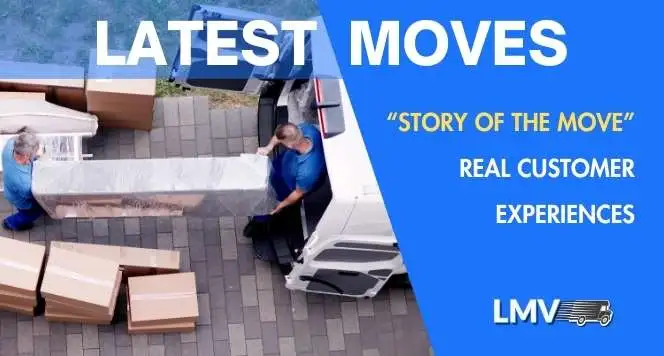 Latest removals and feedback from London Man Van clients