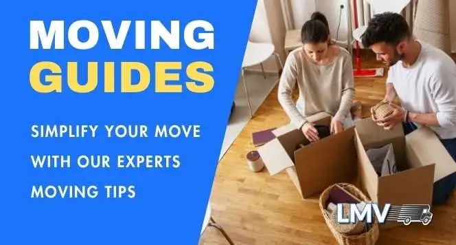 Removals Guides - Expert Moving Tips from London Man Van